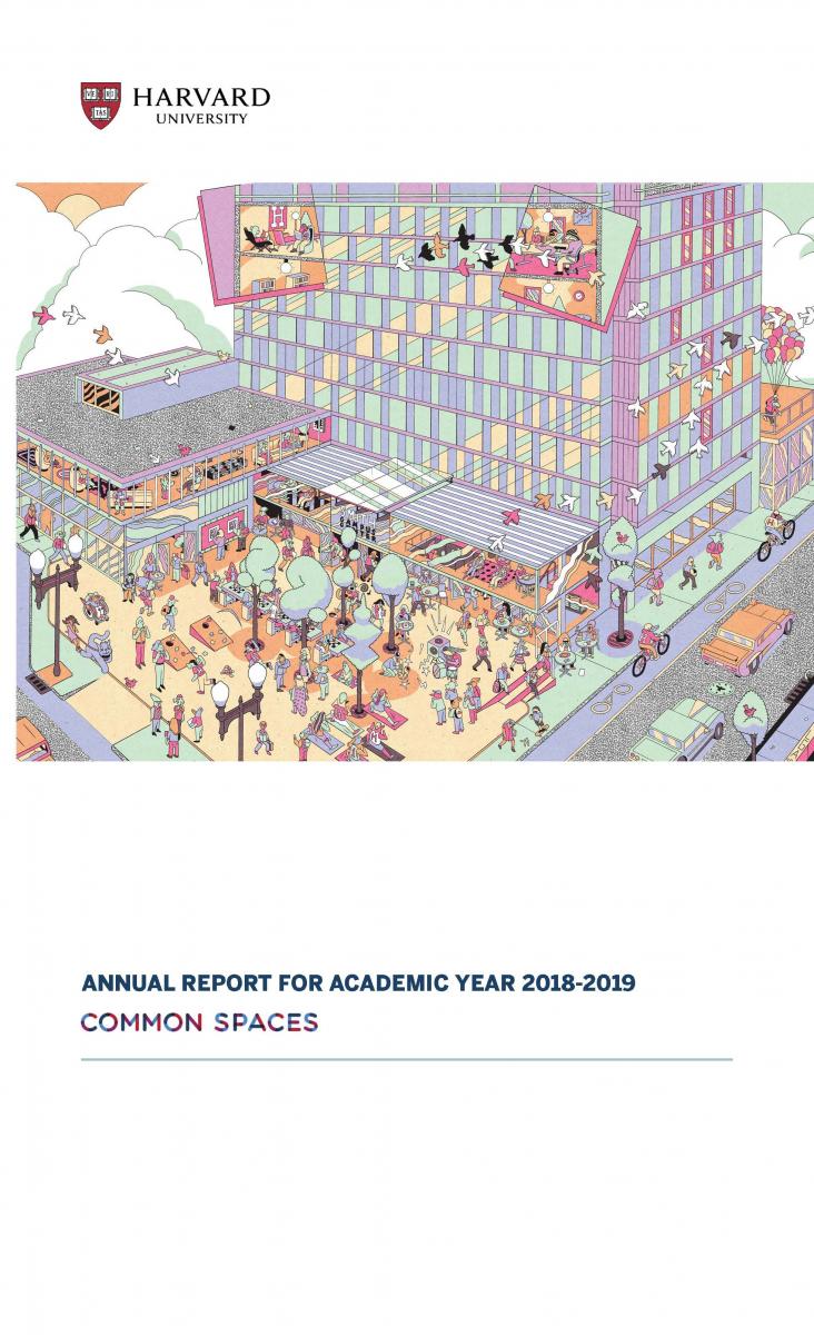 [Common Spaces Annual Report Cover Page]