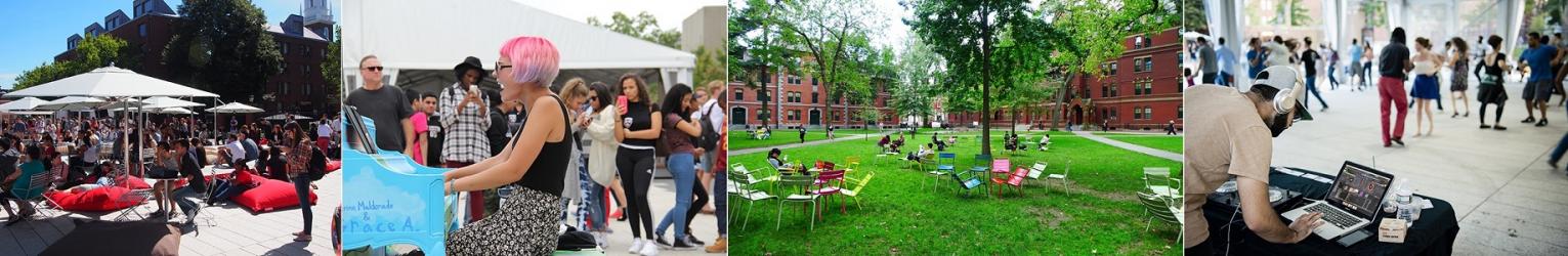 Banner Image - Chairs in Harvard Yard - Science Plaza - Children Reading Group in Harvard Yard