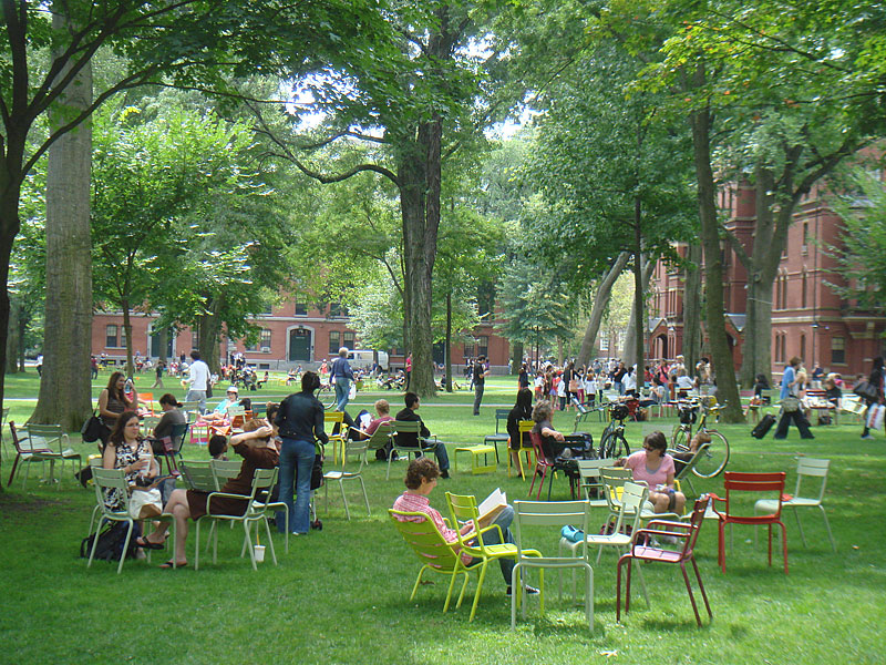 The Chairs in Harvard Yard