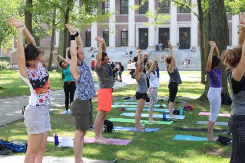 Community members doing yoga poses in Harvard Yard