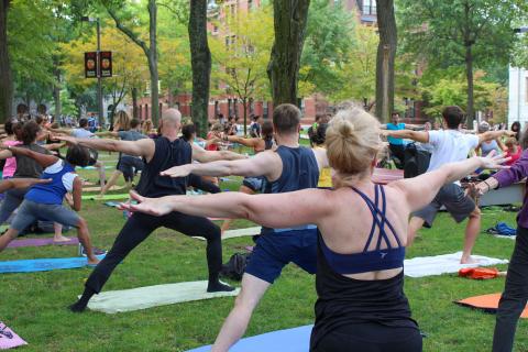 Community members doing the yoga posture "Warrior Two" in Harvard Yard