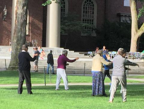 People Doing Tai Chi in Harvard Yard